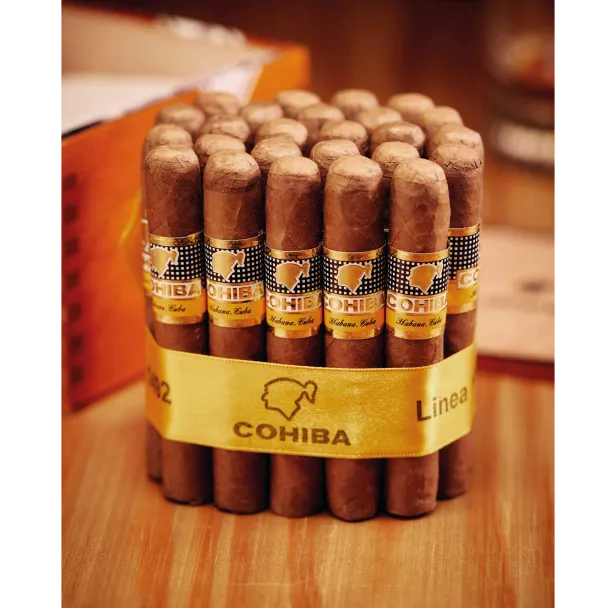 (BIST) Baks International Studios 