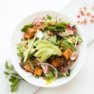 (BIST) Baks International Studios 